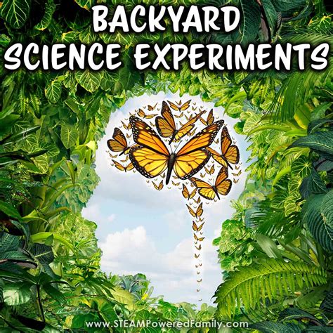 25 Brilliant Backyard Science Experiments For Kids Steam Easy Outdoor Science Experiments - Easy Outdoor Science Experiments