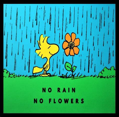 25 Cool No Rain No Flowers Tattoo Ideas No Rain No Flowers Meaning - No Rain No Flowers Meaning