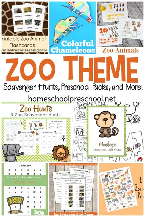25 Engaging Preschool Zoo Printables And Activities Zoo Preschool Worksheets - Zoo Preschool Worksheets