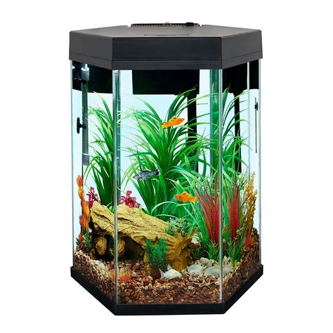 25 gallon fish tank. Things To Know About 25 gallon fish tank. 