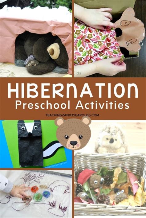 25 Of The Best Preschool Hibernation Activities Hibernation Science Activities For Preschool - Hibernation Science Activities For Preschool