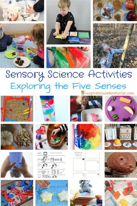 25 Sensory Science Activities Exploring The Five Senses 5 Senses Activity For Kindergarten - 5 Senses Activity For Kindergarten