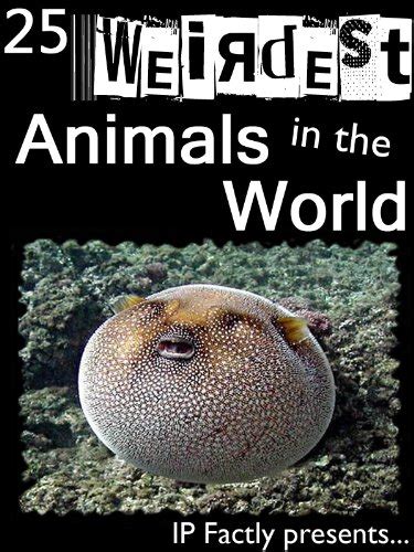 Read 25 Weirdest Animals In The World Amazing Facts Photos And Video Links To The Strangest Creatures On The Planet 25 Amazing Animals Series Book 1 