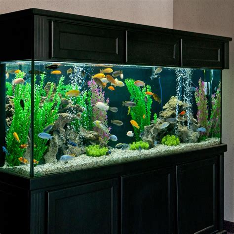 250 Aquariums, Fish Bowls and Fish Tanks ideas