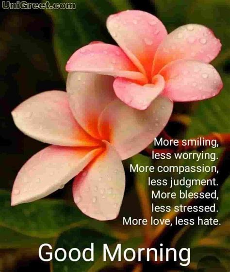 250 Good Morning Flowers Quotes Amp Images Linepoetry Flowers With Good Morning Quotes - Flowers With Good Morning Quotes