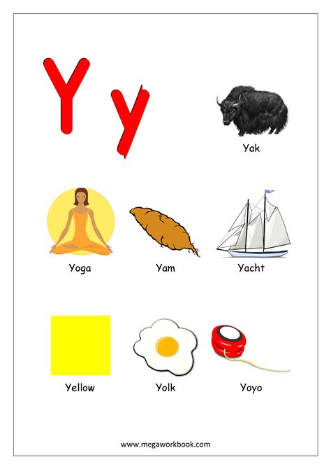 250 Objects That Start With Y To Teach Objects That Start With Y - Objects That Start With Y