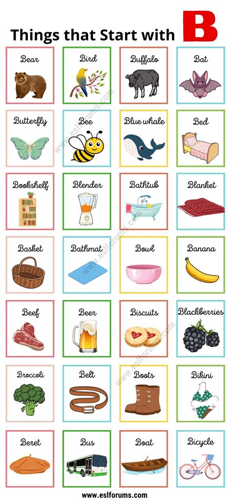 252 Interesting Things That Start With B Esl Objects With Letter B - Objects With Letter B