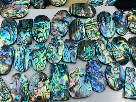 25g Miniature Abalone Shell Shells Pieces - Etsy