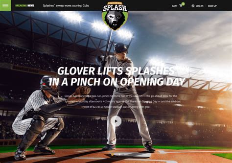 26 Baseball Wordpress Themes To Help Clubs Stay Connected With Fans