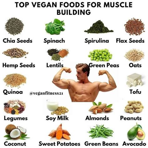 26 Best Vegetarian Protein Foods to Lose Weight and Build Muscle