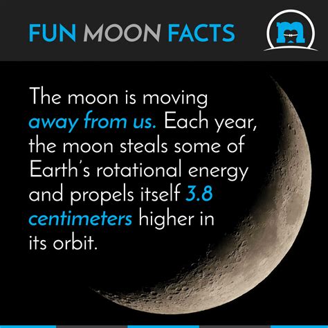 26 Fun Facts About The Moon For Kids 1st Grade Moon Facts Worksheet - 1st Grade Moon Facts Worksheet