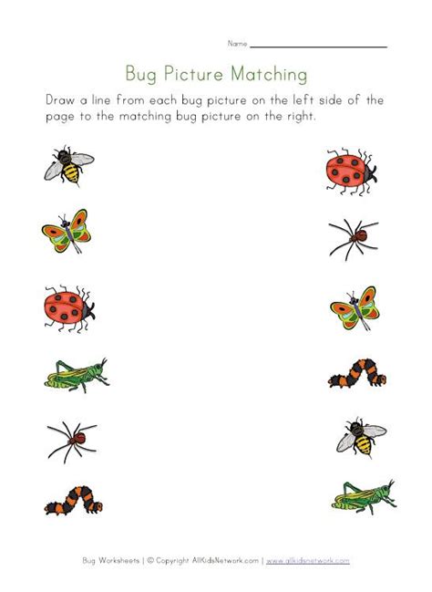 26 Insects Worksheets For Kindergarten Softball Wristband Kindergarten Insect Units - Kindergarten Insect Units