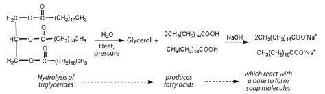 26.3: Saponification of Fats and Oils; Soaps and … - wintechmobiles.com