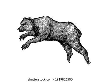 263,334 Bear Drawing Images, Stock Photos & Vectors - Shutterstock