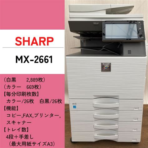 2661 Halı ve Koltuk Yıkama