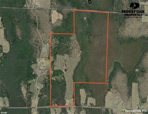 268.32 Acres, 83944 Creamery Rd, Butternut, WI 54514 Land and …