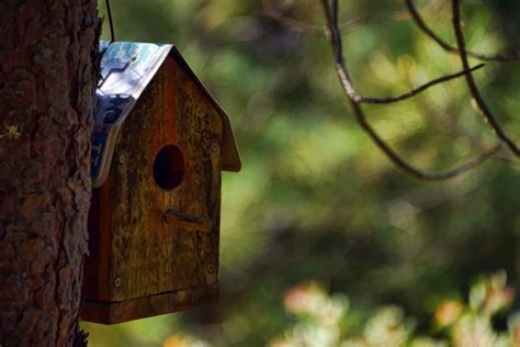 27,341 Birdhouse Stock Photos, Images & Pictures - Dreamstime