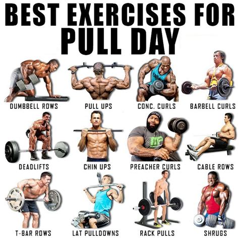 27 Best Exercises for a Push Pull Strength Training Routine