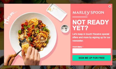 27 Landing Page Examples to Maximize Sales in 2020 Landing