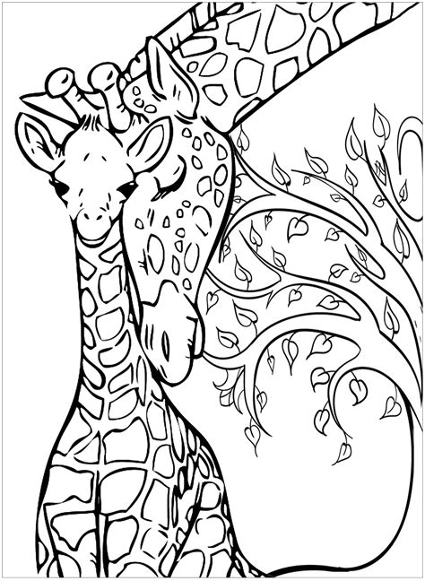 27 Giraffe Coloring Pages Free Pdf Printables Printable Giraffe Coloring Pages - Printable Giraffe Coloring Pages