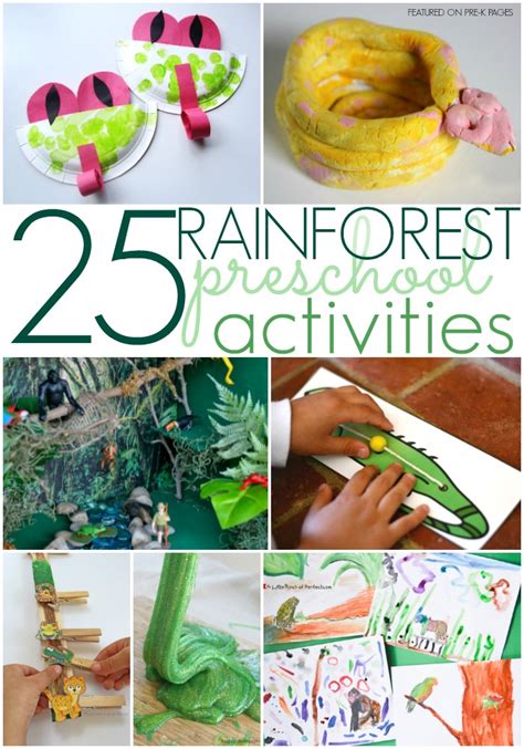 27 Jungle Activities For Preschoolers Amp Toddlers Jungle Science Activities For Preschoolers - Jungle Science Activities For Preschoolers