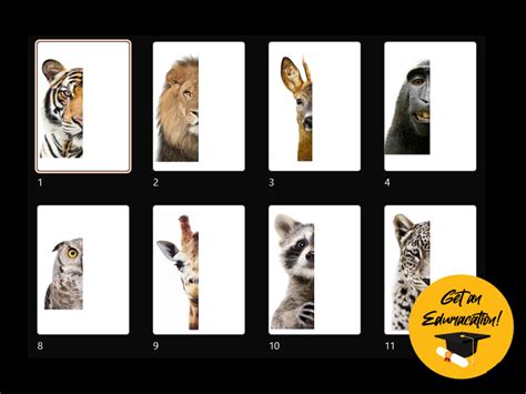 27 Top Animal Symmetry Teaching Resources Curated For Animal Symmetry Worksheet - Animal Symmetry Worksheet