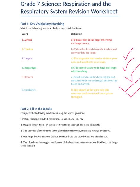 Full Download 27 2 Respiration Answers 