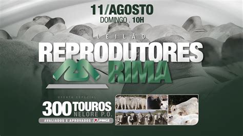 27. RIMA - Diponegoro University - wintechmobiles.com