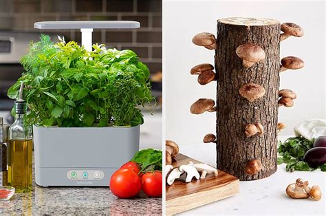 28 Gardening Kits To Check Out If You Need A New Hobby