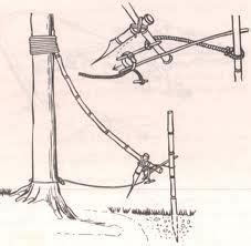28 Malay Mancatcher Diagram Wiring Diagram Info