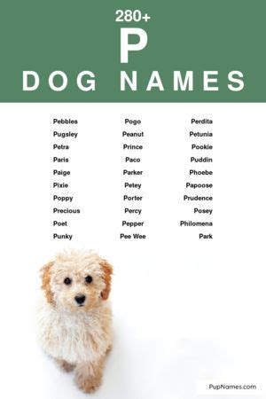 280+ Dog Names Starting With P (+ Meanings) PupNames.com™