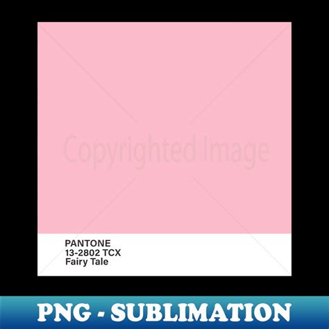 2802 Halı ve Koltuk Yıkama