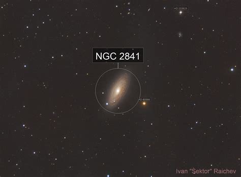 2841 Halı ve Koltuk Yıkama