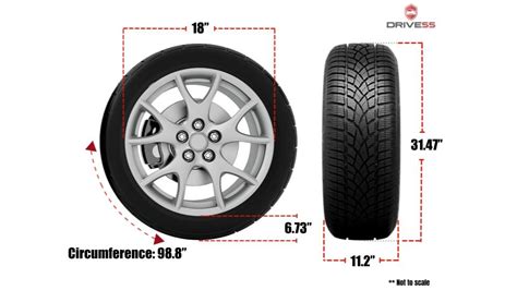 285/60R18 295/30ZR18 295/35ZR18 315/30ZR18 19 inches 