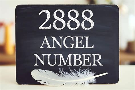 2888 Halı ve Koltuk Yıkama