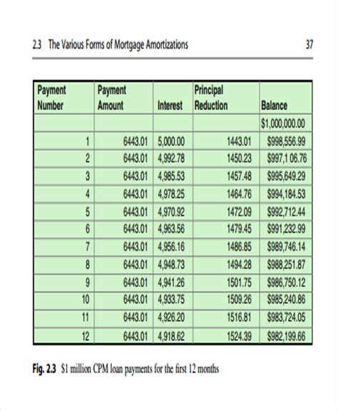 29+ Amortization Schedule Templates