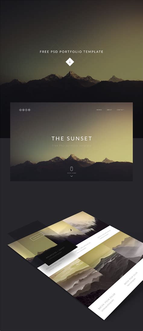 29+ Portfolio Designs to Inspire! Free & Premium Templates