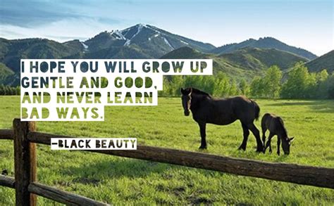 29+ quotes from Black Beauty by Anna Sewell