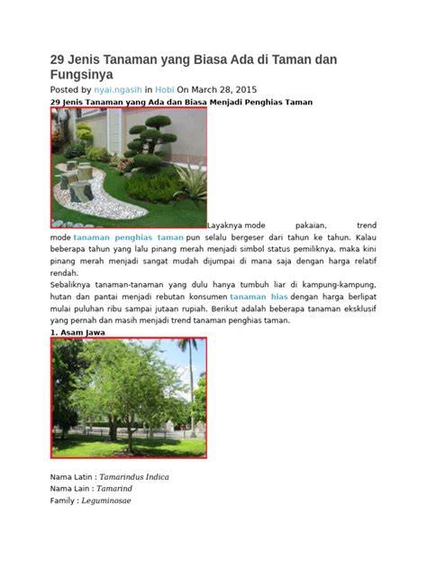 29 Tanaman Penghias Taman dan Fungsinya | PDF - raincitystudios.com
