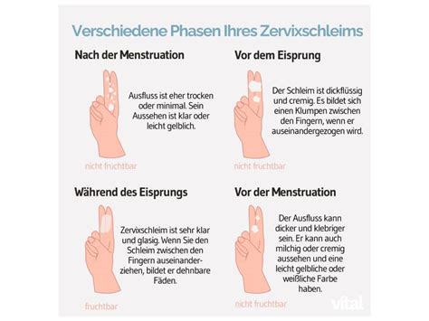 29 zyklustag brauner ausfluss