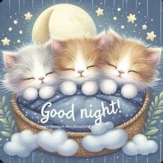 290 Kitten goodnight greetings ideas