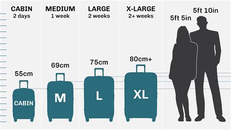 29cm To Mm
