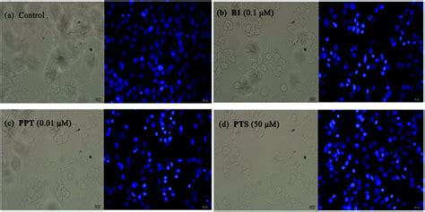 2B.2B Their Morphology - A-LEVEL GEOGRAPHY REVISION: … - wintechmobiles.com