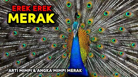 2D Merak: The Benefits of Using 2D Image to 3D Model Software for Designers image 1