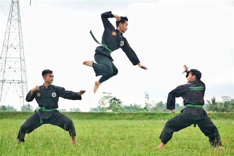 2d silat - elchoricharrua.com