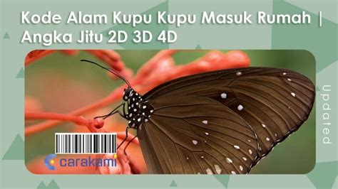 2d 3d 4d kode alam kupu kupu. Prediksi sgp 26 april 2023.