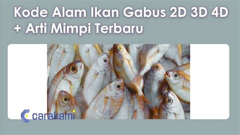 2d nomor kode alam kadal. Mimpi nangkap ikan gabus.