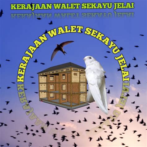 2d walet | 2d walet inovasi Kartu Popup 11 Pola