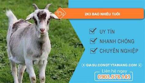 2k3 tuổi con gì | Tui Qu Mi 2003 thuc mnh g