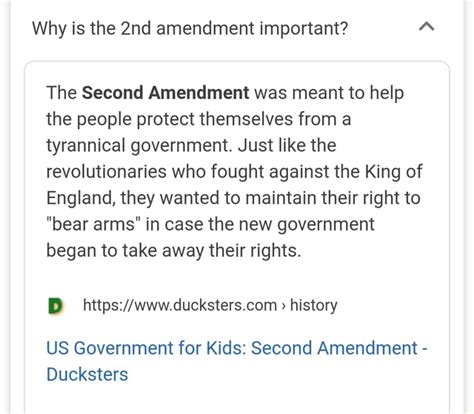 2nd Amendment Ducksters